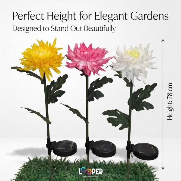 Solar Chrysanthemum Flower Garden Lights Set of 2, Roll Cloth Petals, Stainless Steel Stakes, LED Outdoor Decorative Lights, 600mAh Rechargeable Battery, IP65 Waterproof