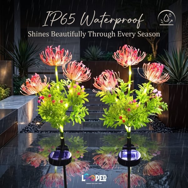 Solar Dandelion Flower Garden Lights Set of 2, 42 LED Firework Lights, ABS & Stainless Steel, 600mAh Rechargeable Battery, IP65 Waterproof Outdoor Landscape Decoration